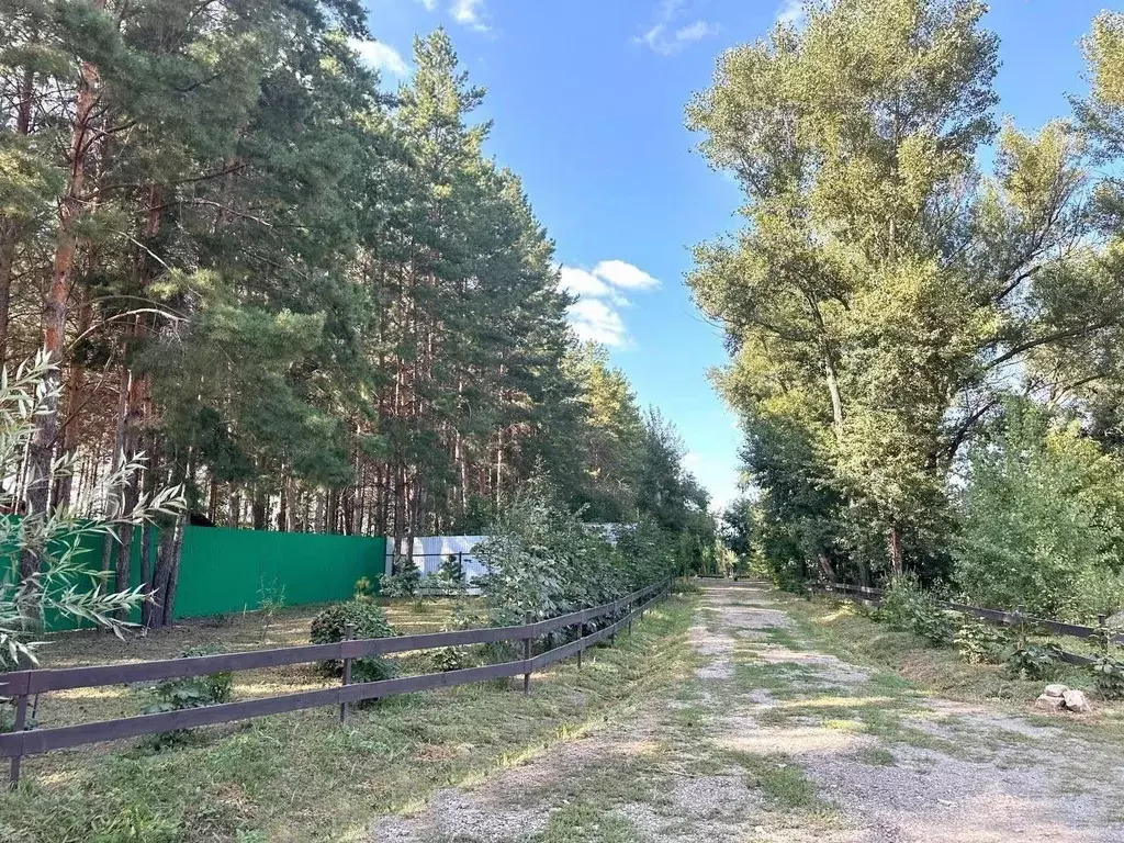 Участок в Оренбургская область, Оренбургский район, с. Нежинка ул. ... - Фото 1