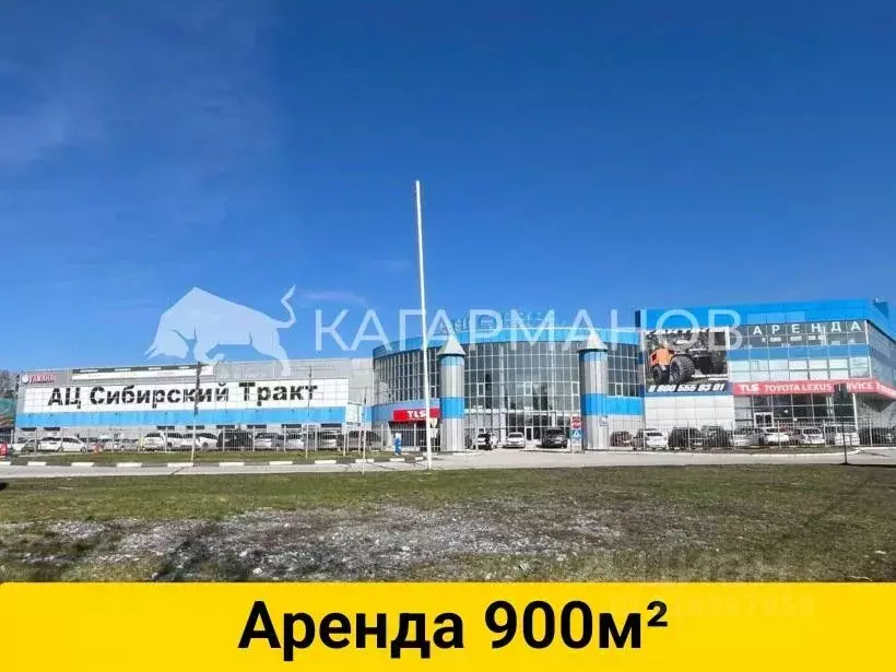 Помещение свободного назначения в Новосибирская область, Новосибирск ... - Фото 0