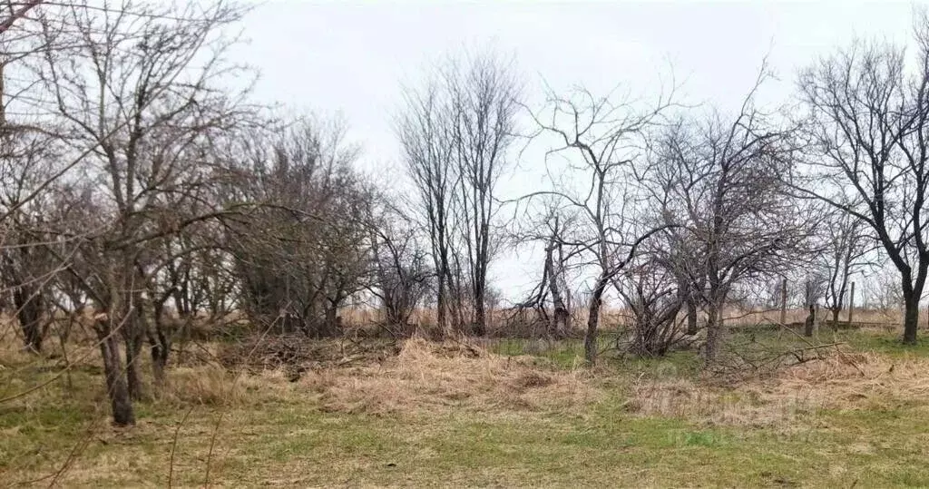 Участок в Краснодарский край, Темрюкский район, Краснострельское ... - Фото 2