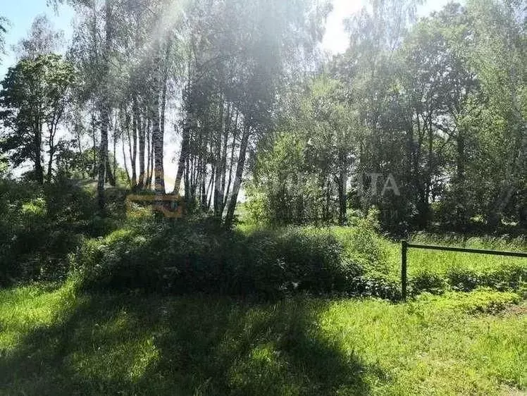 Участок в Смоленская область, Смоленск ул. Подснежники, 27 (8.0 сот.) - Фото 2