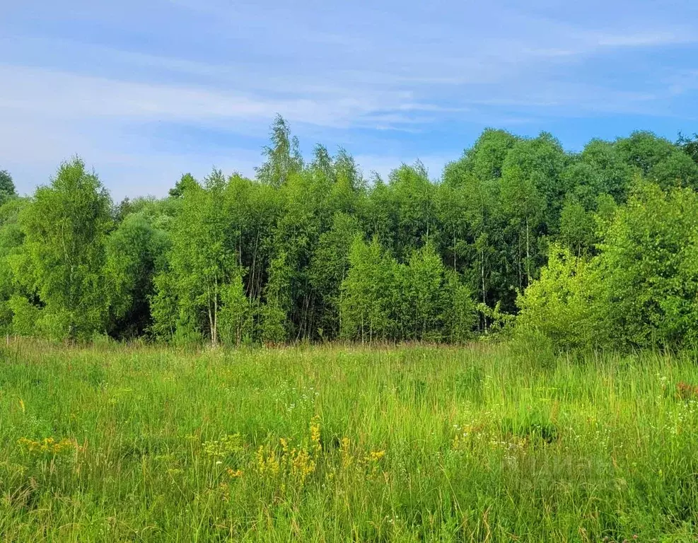 Участок в Тульская область, Заокский район, Страховское с/пос, д. ... - Фото 1