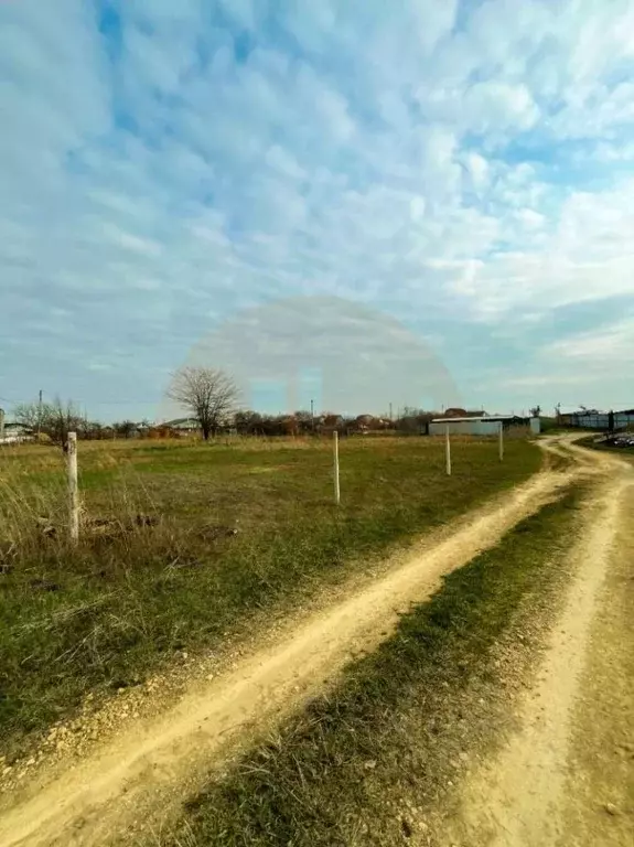 Участок в Крым, Сакский район, с. Орехово, Овощевод СНТ ул. Озерная ... - Фото 2