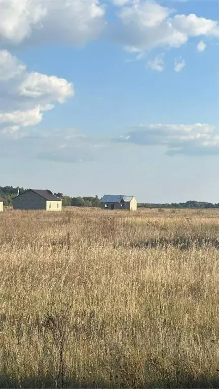 Дом в Самарская область, Ставропольский район, с. Ташелка ул. ... - Фото 2