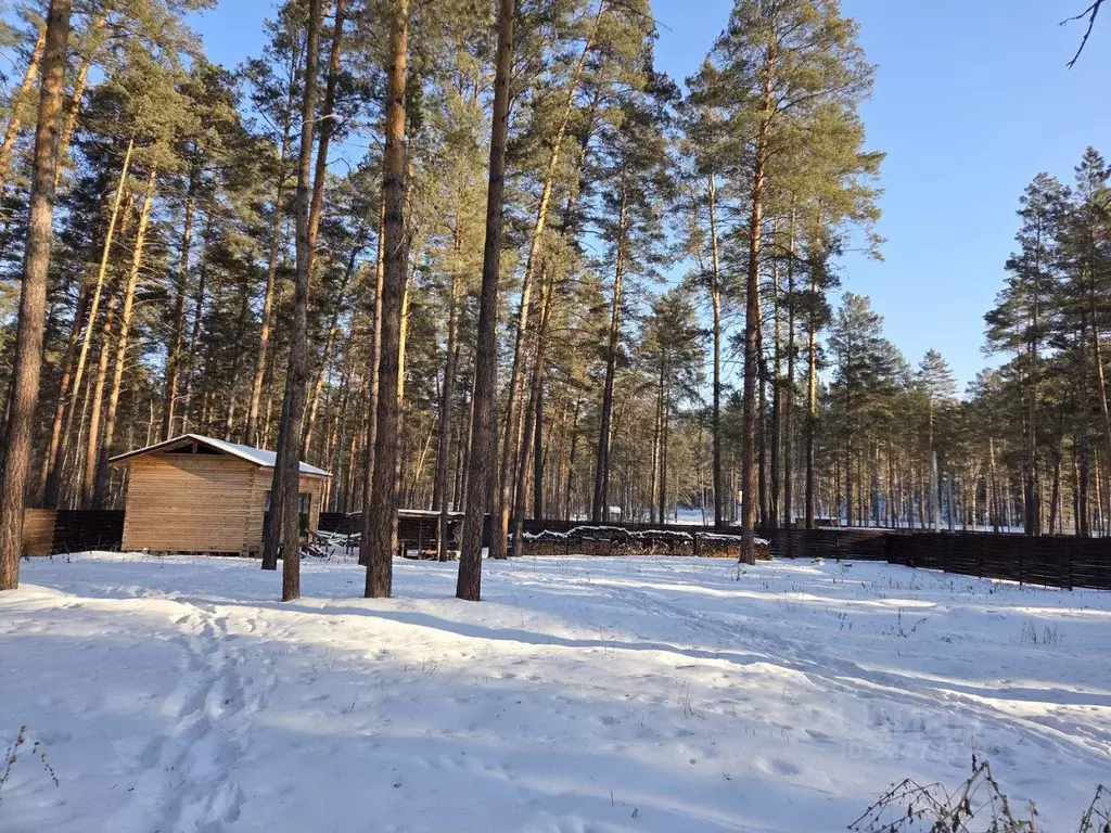 Дом в Алтай, Чемальский район, пос. Усть-Сема ул. Чуйская (35 м) - Фото 1