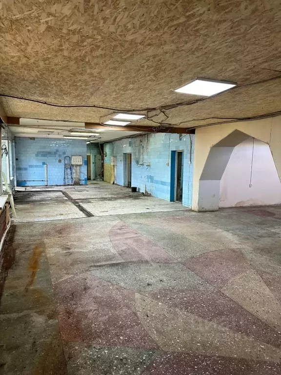 Помещение свободного назначения в Ставропольский край, Ставрополь ул. ... - Фото 2