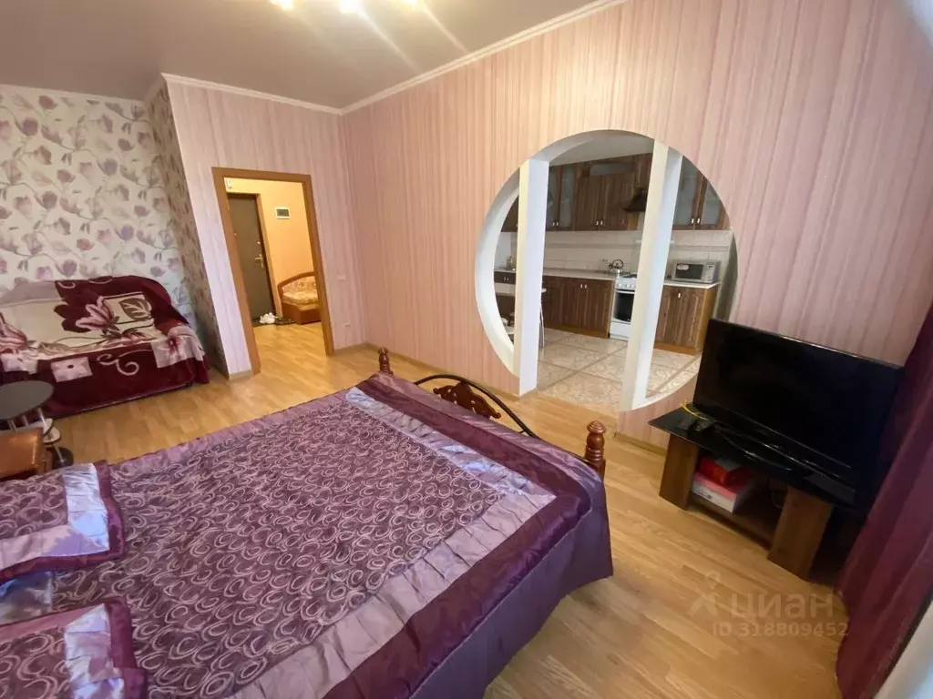1-к кв. Пензенская область, Пенза ул. Пушкина, 15 (48.0 м) - Фото 1