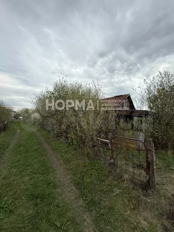 Участок 6,7 сот. (СНТ, ДНП) - Фото 0