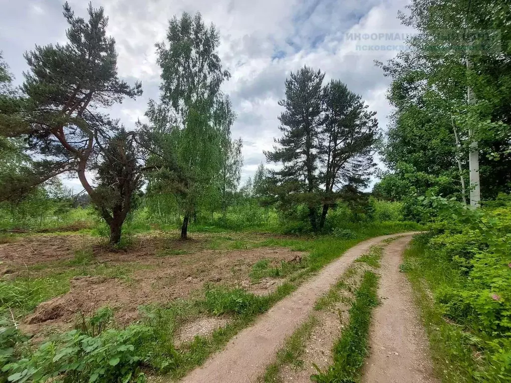 Участок в Псковская область, Печорский муниципальный округ, д. ... - Фото 2