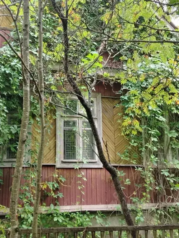 Участок в Ленинградская область, Кировский район, Мгинское городское ... - Фото 1