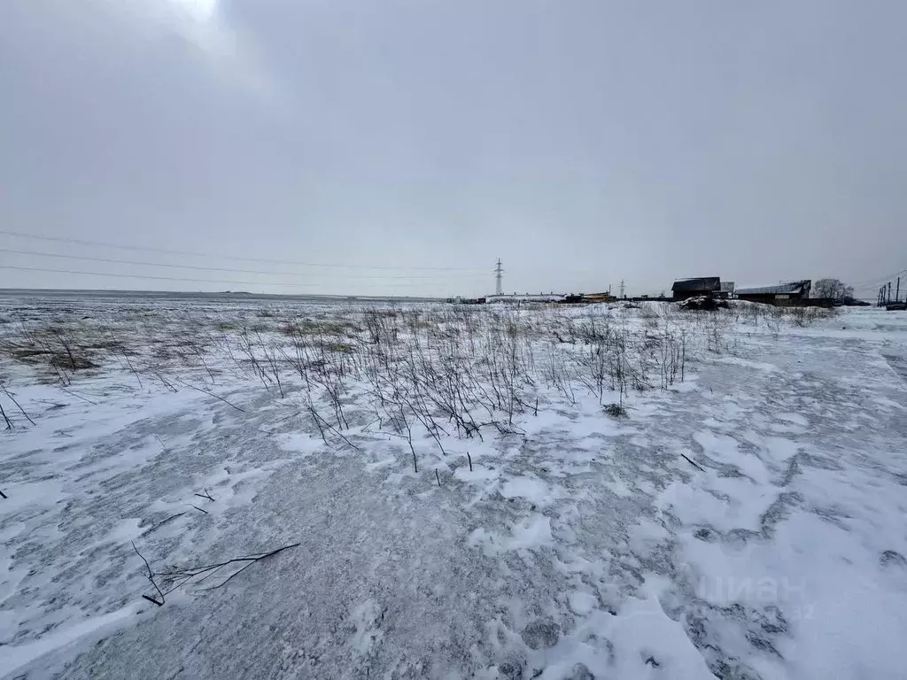 Участок в Красноярский край, Березовка пгт ул. Кирова (7.8 сот.) - Фото 0