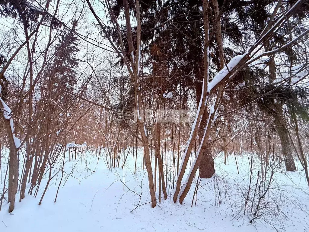 Участок в Московская область, Одинцовский городской округ, Тайм кп  ... - Фото 2
