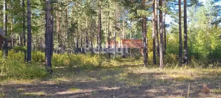 Участок в Забайкальский край, Читинский район, Атамановка пгт  (99.7 ... - Фото 1