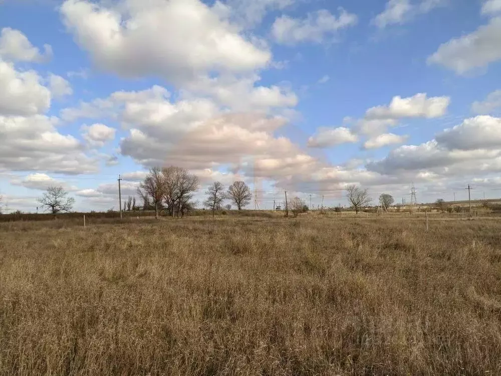 Участок в Крым, Сакский район, Ореховское с/пос, с. Чеботарка ул. ... - Фото 2