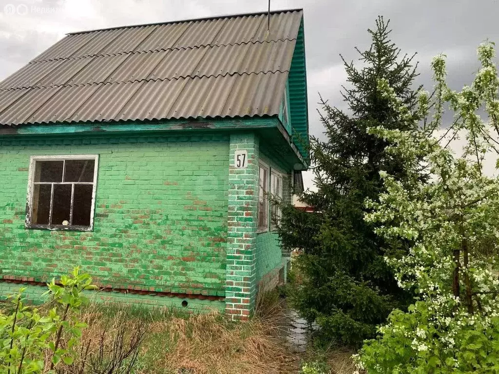 Дом в Омск, территория СОСН Сибирский Садовод-3, 4-я аллея (15 м) - Фото 1