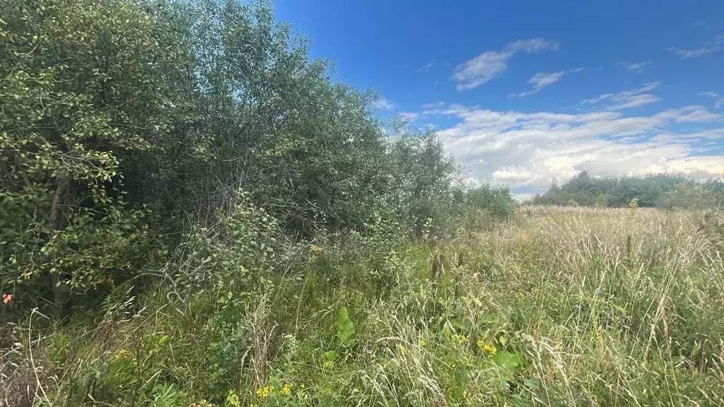 Участок в Московская область, Ступино городской округ, с. Старое  ... - Фото 1