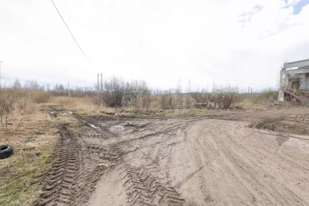 Участок в посёлок городского типа Голышманово, улица 8 Марта (1500 м) - Фото 0