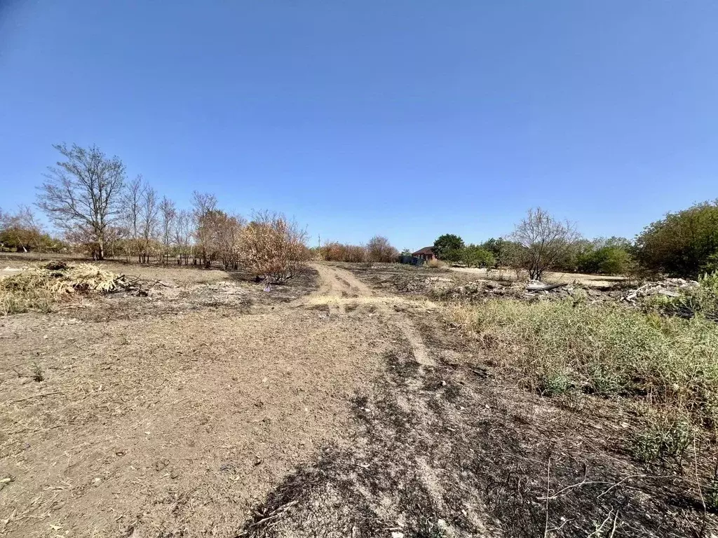 Участок в Ростовская область, Азовский район, Маргаритовское с/пос, с. ... - Фото 2