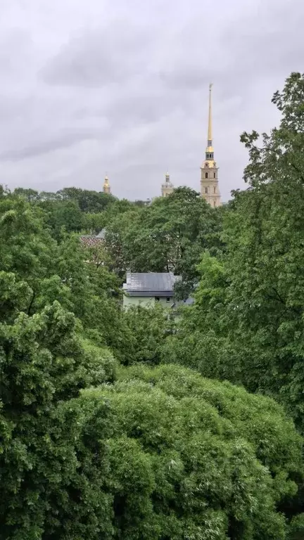 1-к кв. Санкт-Петербург Кронверкский просп., 65 (65.0 м) - Фото 0