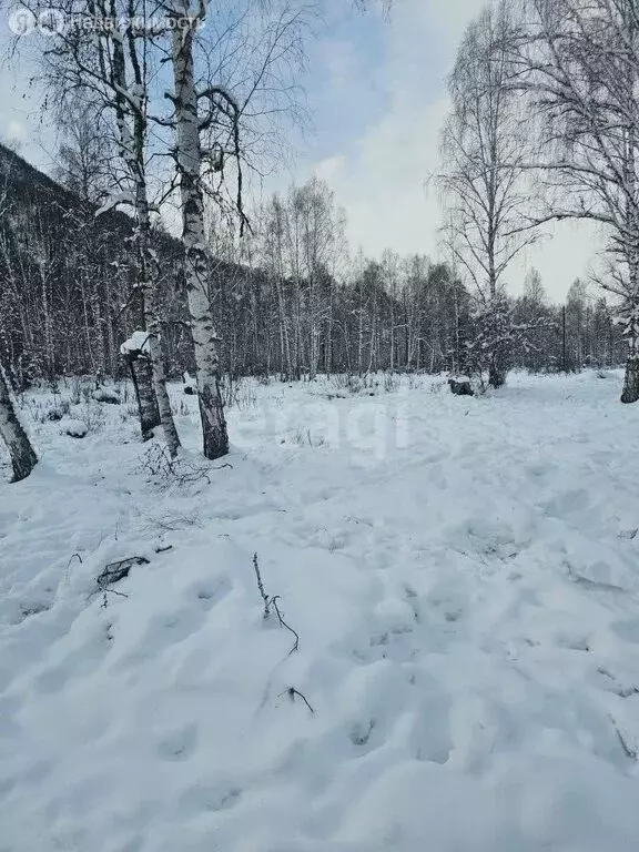 Участок в Усть-Коксинский район, село Тихонькая (266.7 м) - Фото 0