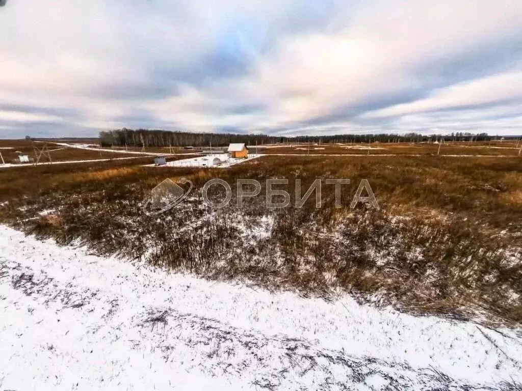 Участок в Тюменская область, Тюменский муниципальный округ, ... - Фото 1