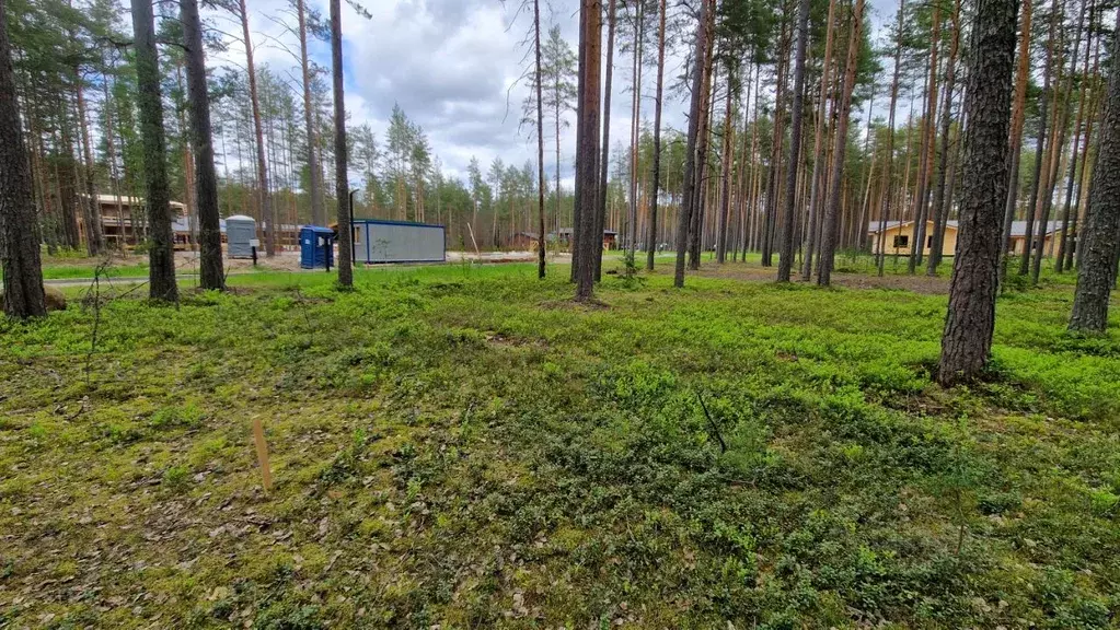 Участок в Ленинградская область, Приозерский район, Петровское с/пос, ... - Фото 2