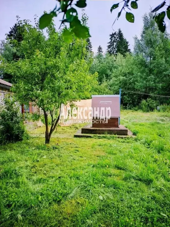 Дом в Ленинградская область, Выборг ул. 2-я Речная, 8 (88 м) - Фото 2