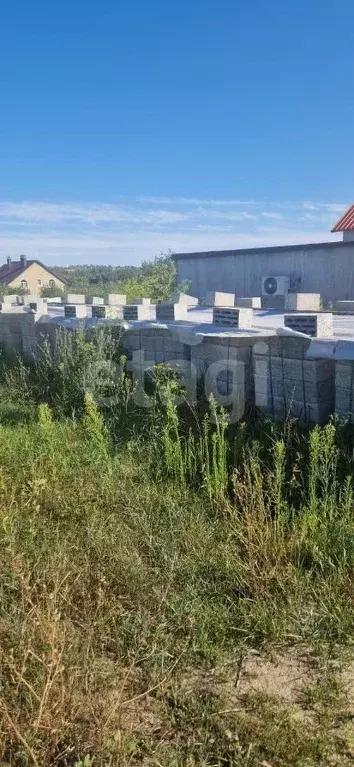 Дом в Белгородская область, Белгород пер. 3-й Лучевой, 6 (45 м) - Фото 1