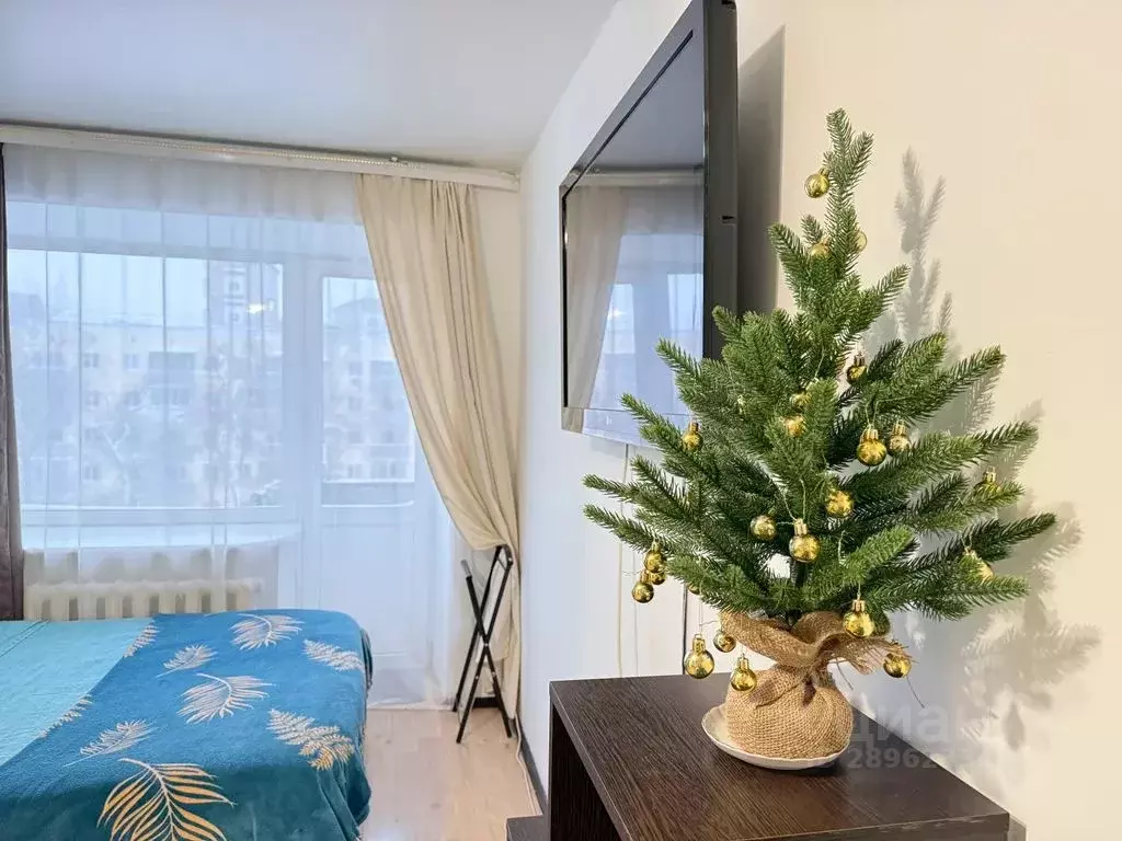 1-к кв. Пермский край, Пермь ул. Ленина, 59 (31.0 м) - Фото 1