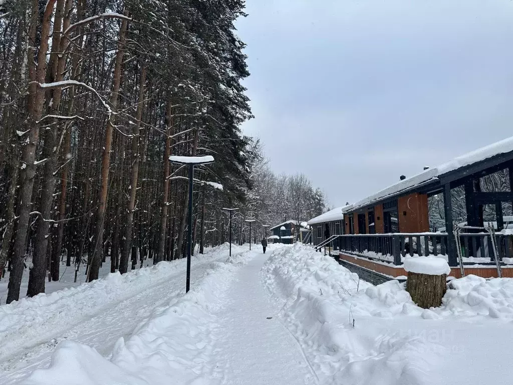 Дом в Московская область, Пушкинский городской округ, Правдинский пгт  ... - Фото 2