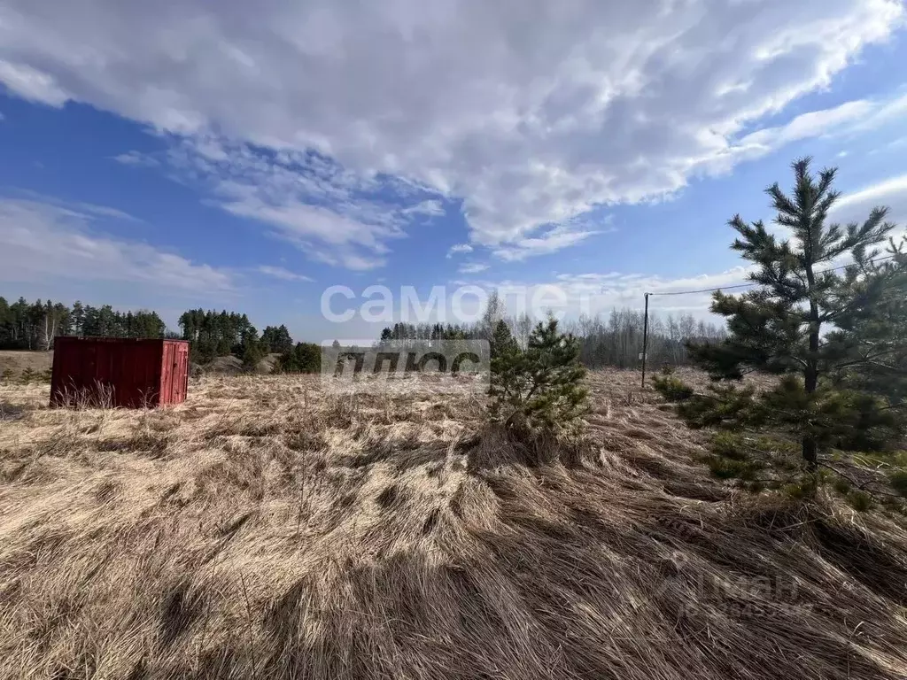 Участок в Липецкая область, Задонский муниципальный округ, с. Казино  ... - Фото 2