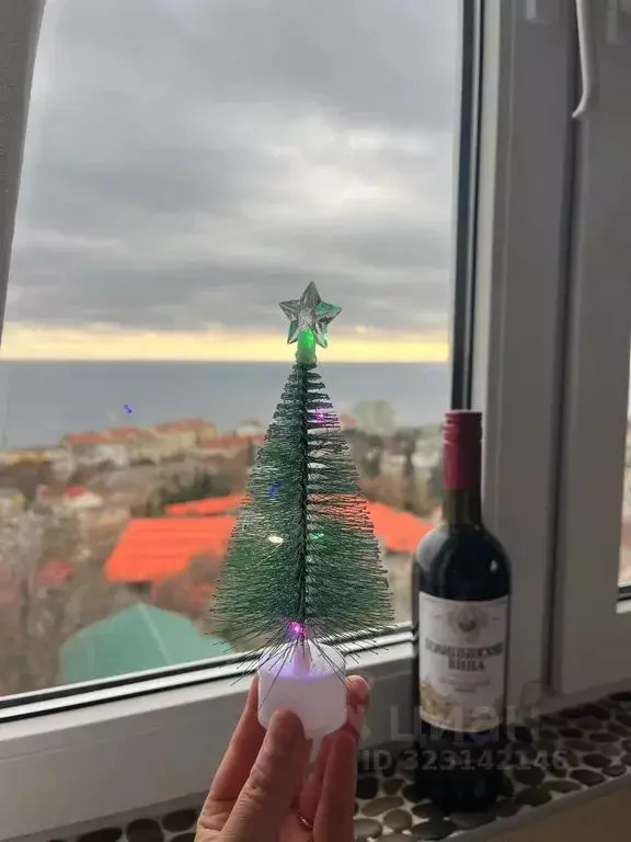 Студия Крым, Ялта муниципальный округ, Гаспра пгт ул. Маратовская, 72 ... - Фото 2