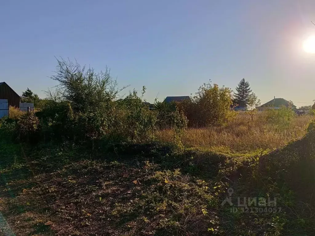 Участок в Воронежская область, Каширский район, Дзержинское с/пос, ... - Фото 2