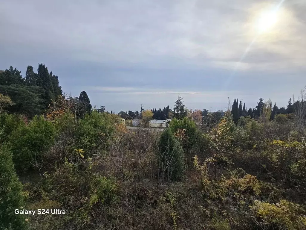 Участок в Крым, Ялта муниципальный округ, Отрадное пгт ш. Дражинского ... - Фото 1