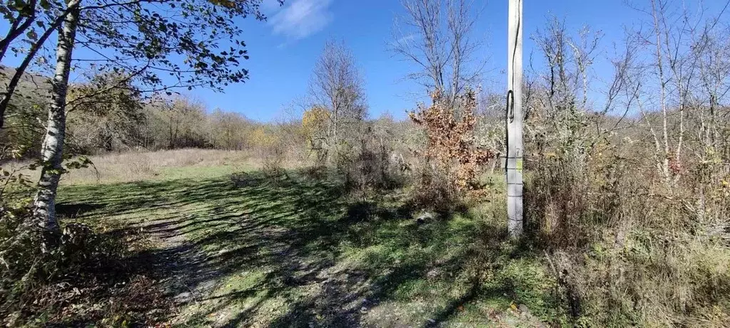 Участок в Адыгея, Майкопский район, Даховское с/пос, с. Хамышки ул. ... - Фото 1