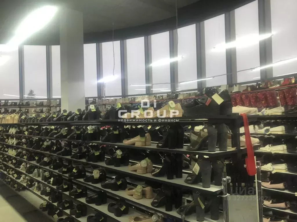 Помещение свободного назначения в Татарстан, Казань ул. Белинского, 18 ... - Фото 2