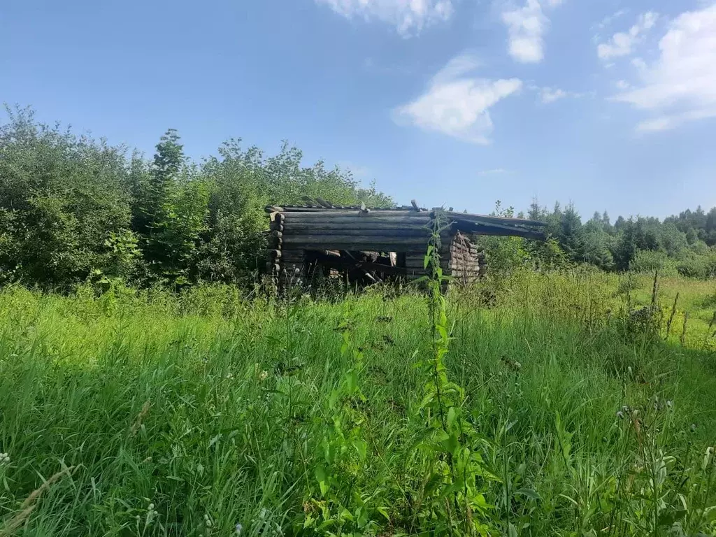 Участок в Новгородская область, Маловишерское городское поселение, д. ... - Фото 1
