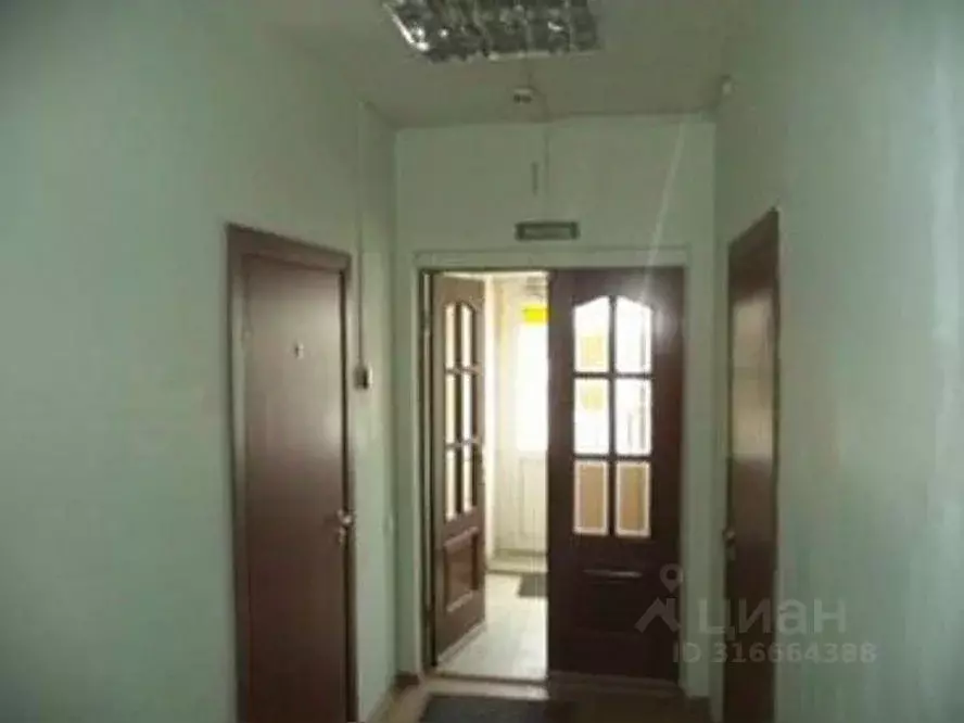 Помещение свободного назначения в Челябинская область, Челябинск ул. ... - Фото 1
