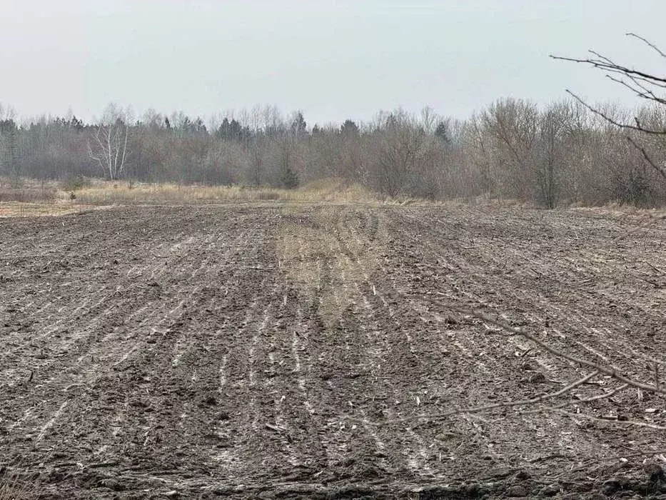 Участок в Белгородская область, Старооскольский городской округ, с. ... - Фото 0