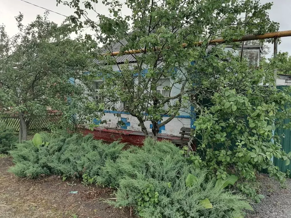 Дом в Белгородская область, Яковлевский муниципальный округ, с. Старая ... - Фото 1