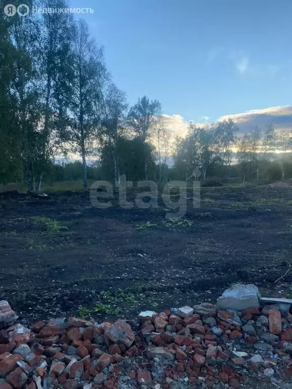 Участок в Кемеровский муниципальный округ, село Берёзово (10 м) - Фото 1