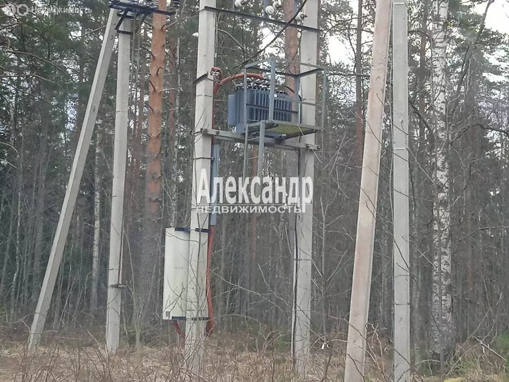 Участок в Громовское сельское поселение (553 м) - Фото 1