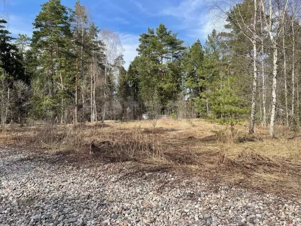 Участок в Московская область, Пушкинский городской округ, с. Левково  ... - Фото 1