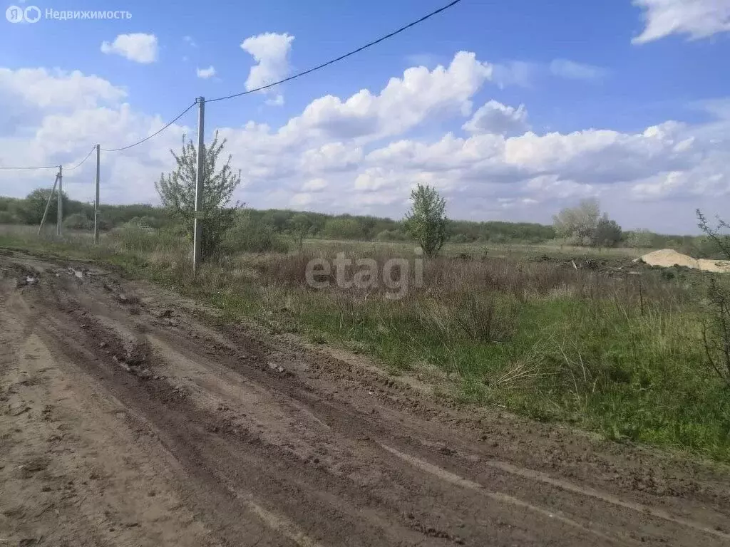 Участок в Рамонский район, Новоживотинновское сельское поселение (5.9 ... - Фото 0