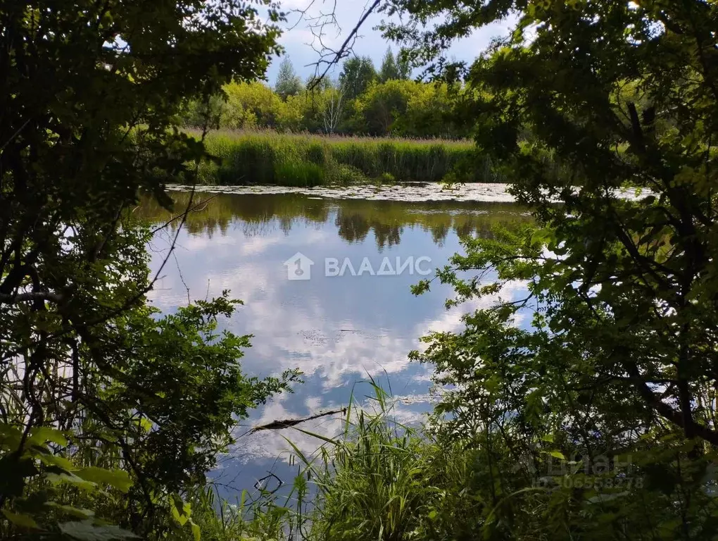 1-к кв. Московская область, Клин Майданово мкр, 1к2 (31.0 м) - Фото 0