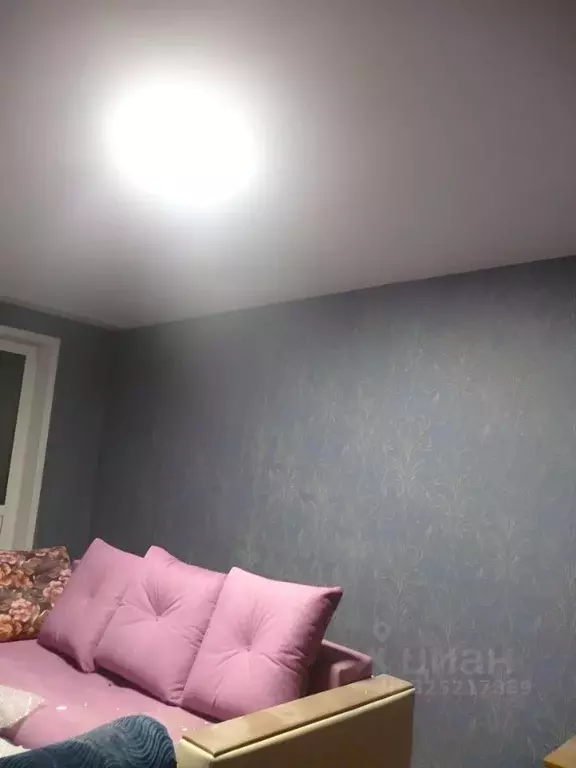 1-к кв. Алтайский край, Барнаул пер. Ядринцева, 150 (30.0 м) - Фото 2