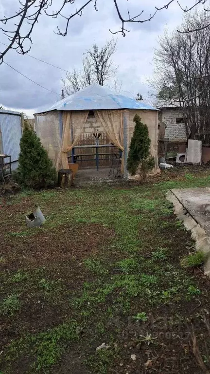 Дом в Саратовская область, Красный Октябрь рп ул. Мелиораторов, 5 (50 ... - Фото 1