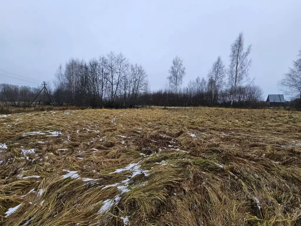 Участок в Московская область, Рузский муниципальный округ, д. ... - Фото 2