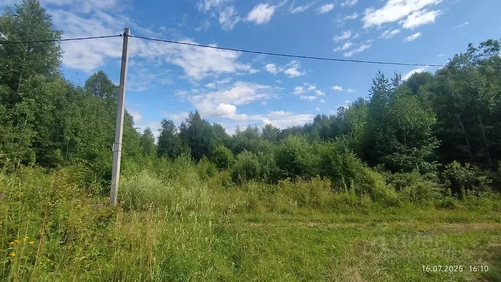 Участок в Пермский край, Пермь Молодежный СНТ,  (6.0 сот.) - Фото 2