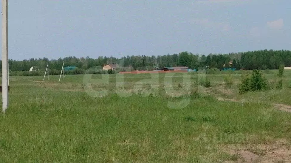 Участок в Тюменская область, Тюменский муниципальный округ, ... - Фото 1