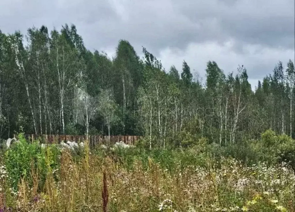 Участок в Тюменская область, Нижнетавдинский район, Сочинское ДНТ  ... - Фото 0